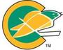 California Golden Seals profile picture