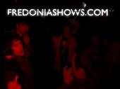 fredoniashows.com profile picture