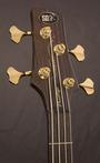 Ibanez Basses profile picture