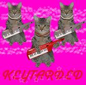 keytarded profile picture