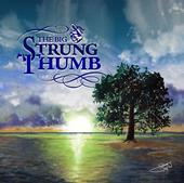 the big strung thumb profile picture