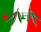 Pachecos Mexicanos Pro Mariguana profile picture