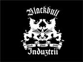 BLACK BULL INDUZTRII profile picture