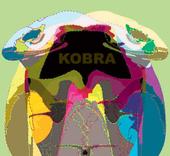 KOBRA profile picture