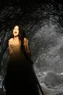 Evanescence profile picture