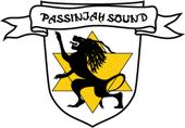 Passinjah Sound profile picture