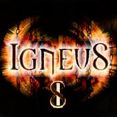 Igneus profile picture