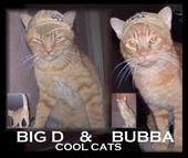 Big D & Bubba profile picture