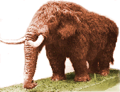 Cohoes Mastodon profile picture