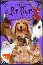 thepetpoetsclub