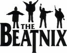 beatnix profile picture