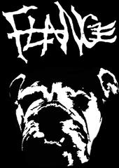 Flange profile picture