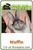 happybunnymuffin