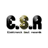 Elektronik Soul Records profile picture