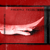 Pineapple Facial Wax profile picture