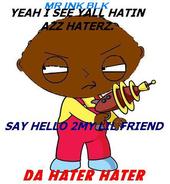 DAM I HATE HATERZ LSZ profile picture