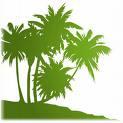 Palms of Penryn profile picture