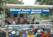 THE MACC BLUEGRASS FESTIVAL profile picture