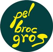 pel broc GROS profile picture