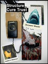 The Structure Cure Trust!!! profile picture