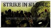 STRIKE IN SILENCE(music up) profile picture