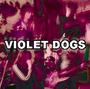 Violet Dogs profile picture