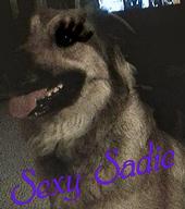 Sadie profile picture