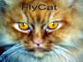 FLYCAT (J. RamÃ³n DÃ­az) profile picture