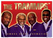 The Trammps profile picture