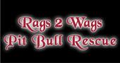 Rags 2 Wags Pit Bull Rescue profile picture