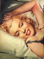 Marilyn Monroe profile picture