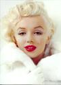 Marilyn Monroe profile picture