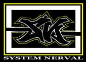 system nerval profile picture