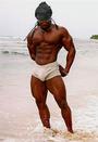 Ulisses... Lion of Africa profile picture