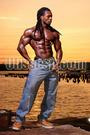 Ulisses... Lion of Africa profile picture