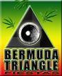 Bermuda Triangle Fiestas profile picture