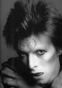 Ziggy Stardust profile picture