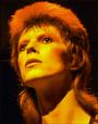 Ziggy Stardust profile picture