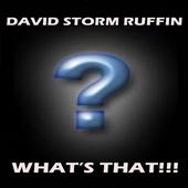 DJ DAVID STORM RUFFIN Â® profile picture