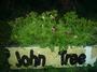 John Tree profile picture