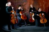 Rastrelli Cello Quartet profile picture