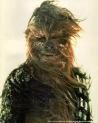 Chewbacca profile picture