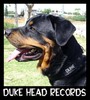 Duke Head Records profile picture