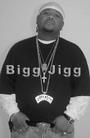 BIGG JIGG (OFFICIAL) MR.FLY AS A PLANE HIMSELF profile picture