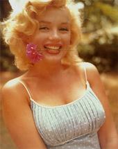 the1theonlymarilyn_monroe