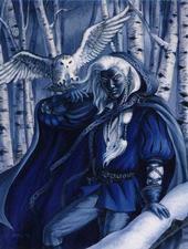 The Dark Elf Sparrowhawk profile picture