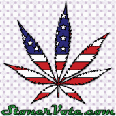 I'm a Stoner and I VOTE profile picture