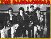 The Barracudas profile picture