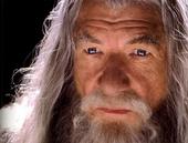 ~*GANDALF*~ profile picture