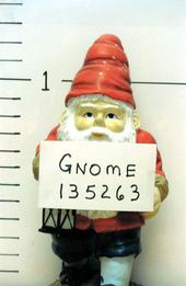 Fighting Yard Gnome profile picture